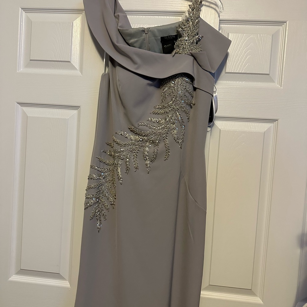 Terani Maxi Dress
